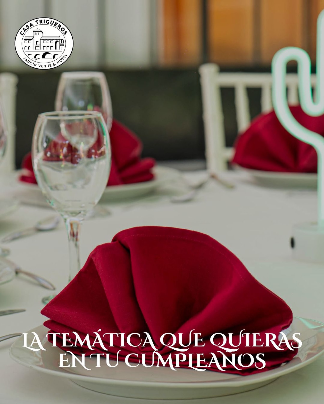 Casa Trigueros Instagram preview